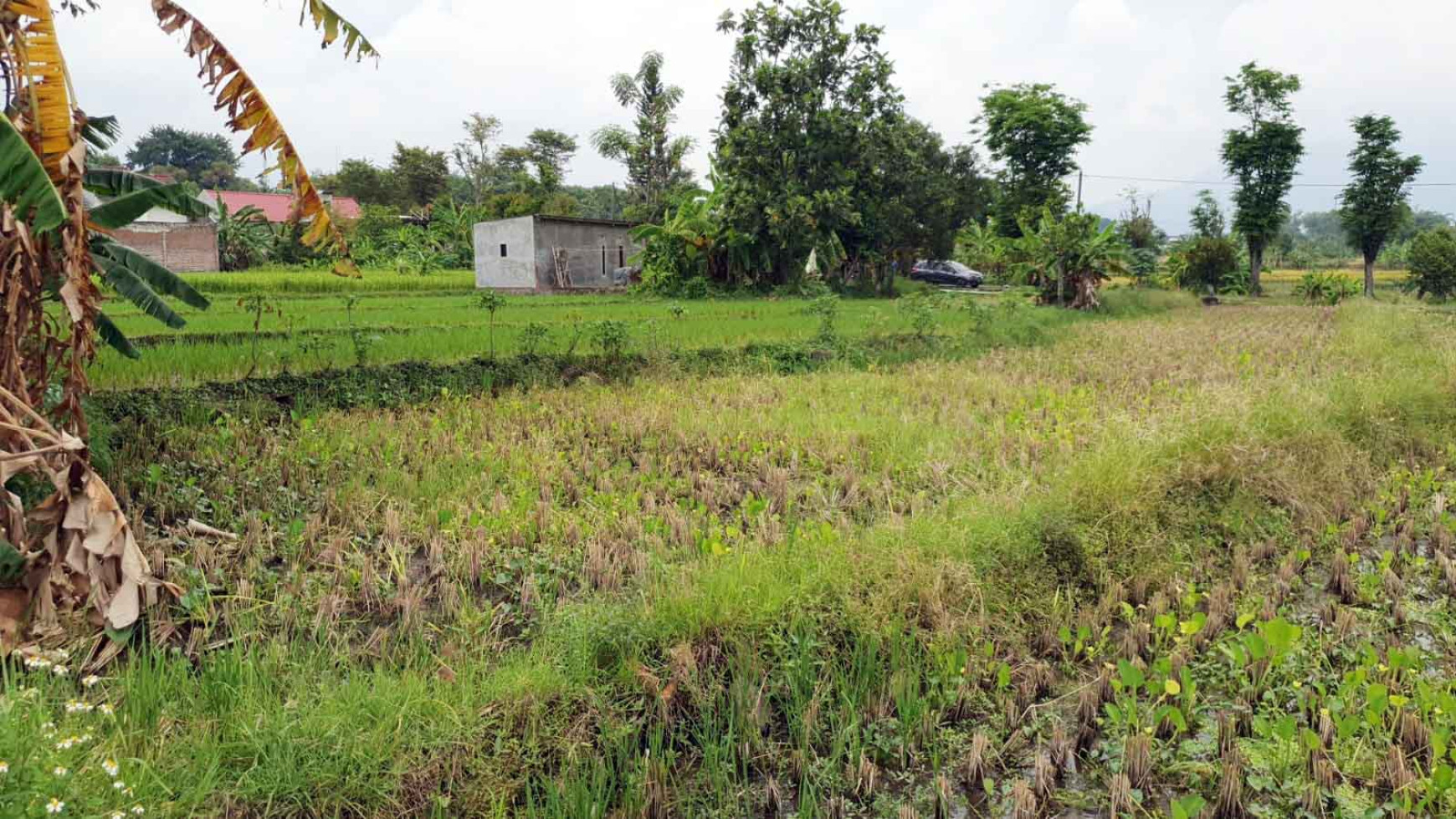 Tanah di Jl. PDAM, Plintahan, Pandaan - Pasuruan, Dekat Ayam Goreng Sri Pandaan