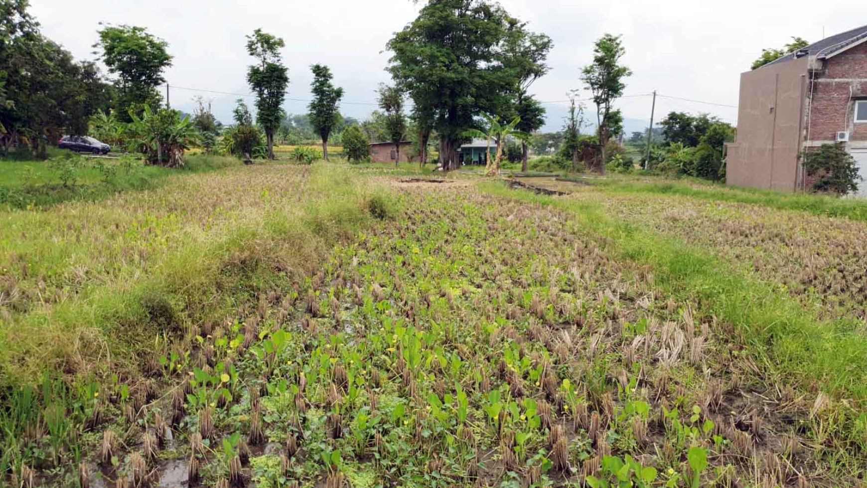 Tanah di Jl. PDAM, Plintahan, Pandaan - Pasuruan, Dekat Ayam Goreng Sri Pandaan