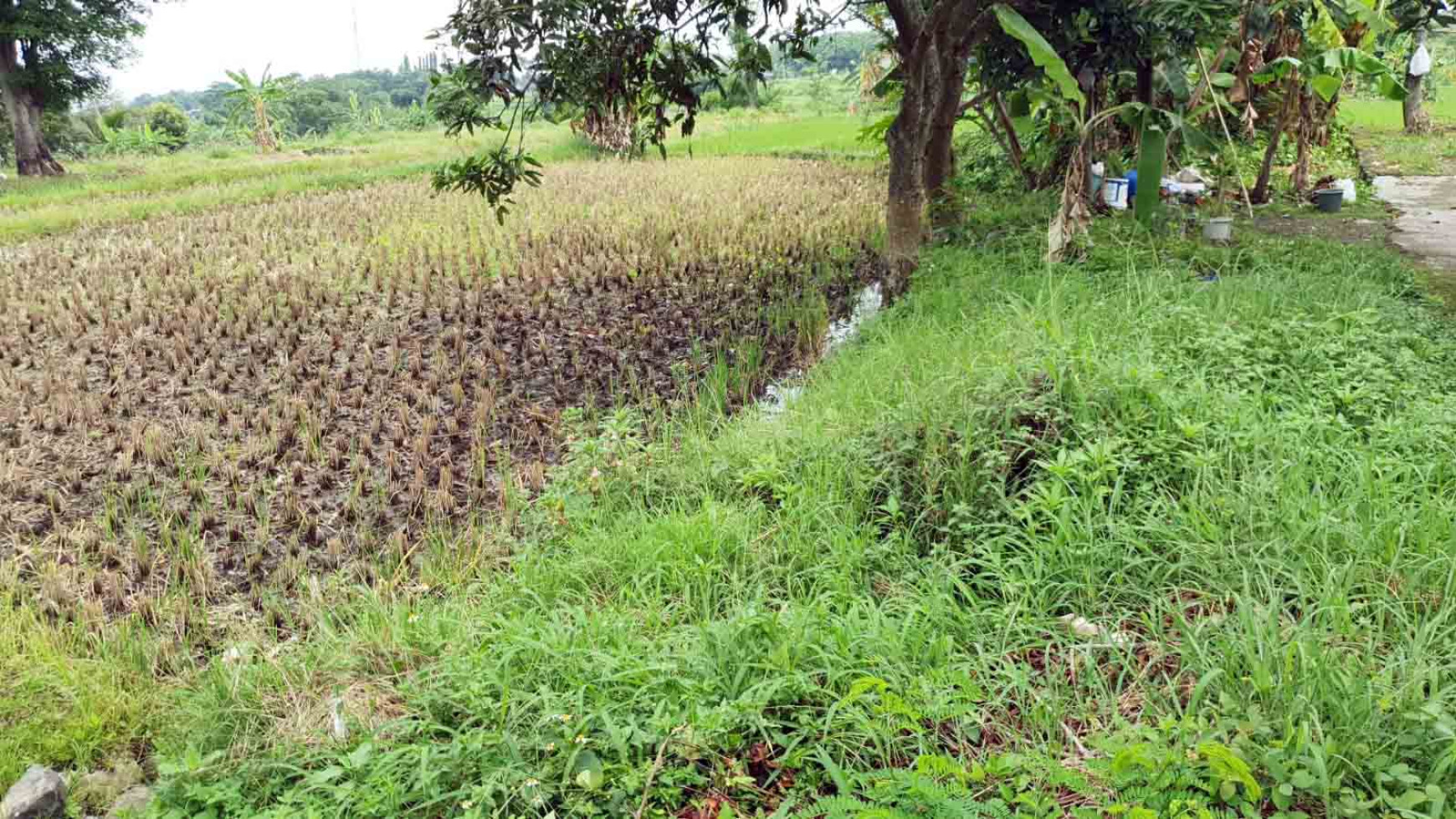 Tanah di Jl. PDAM, Plintahan, Pandaan - Pasuruan, Dekat Ayam Goreng Sri Pandaan