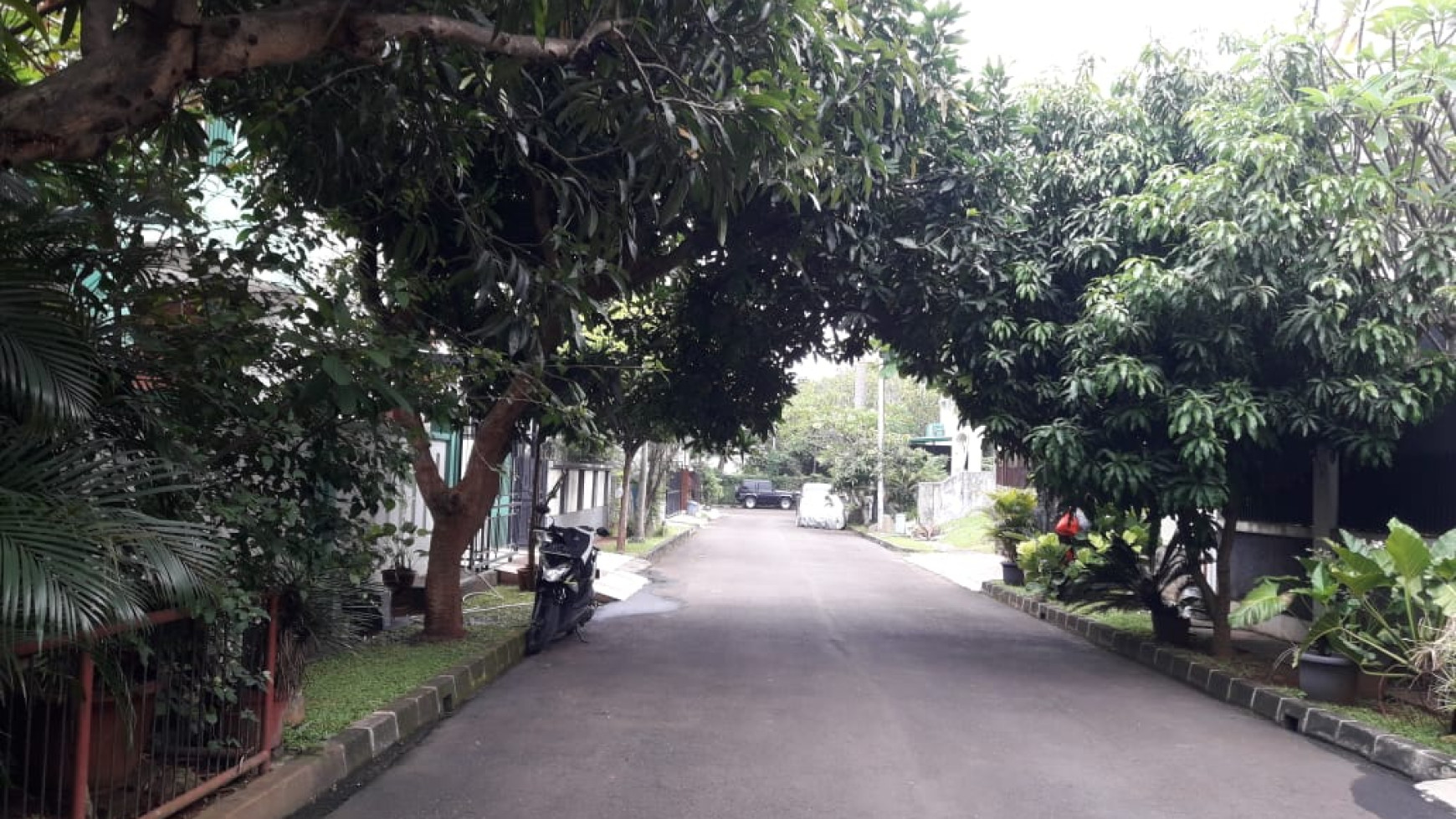 Termurah. Rumah Bagus Anggrek Loka BSD