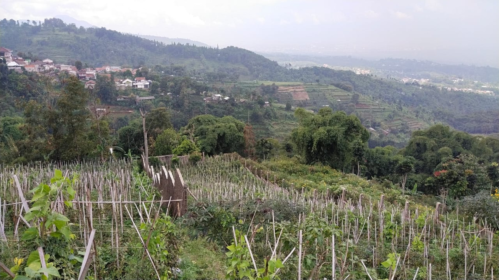 Kavling di dago punclut