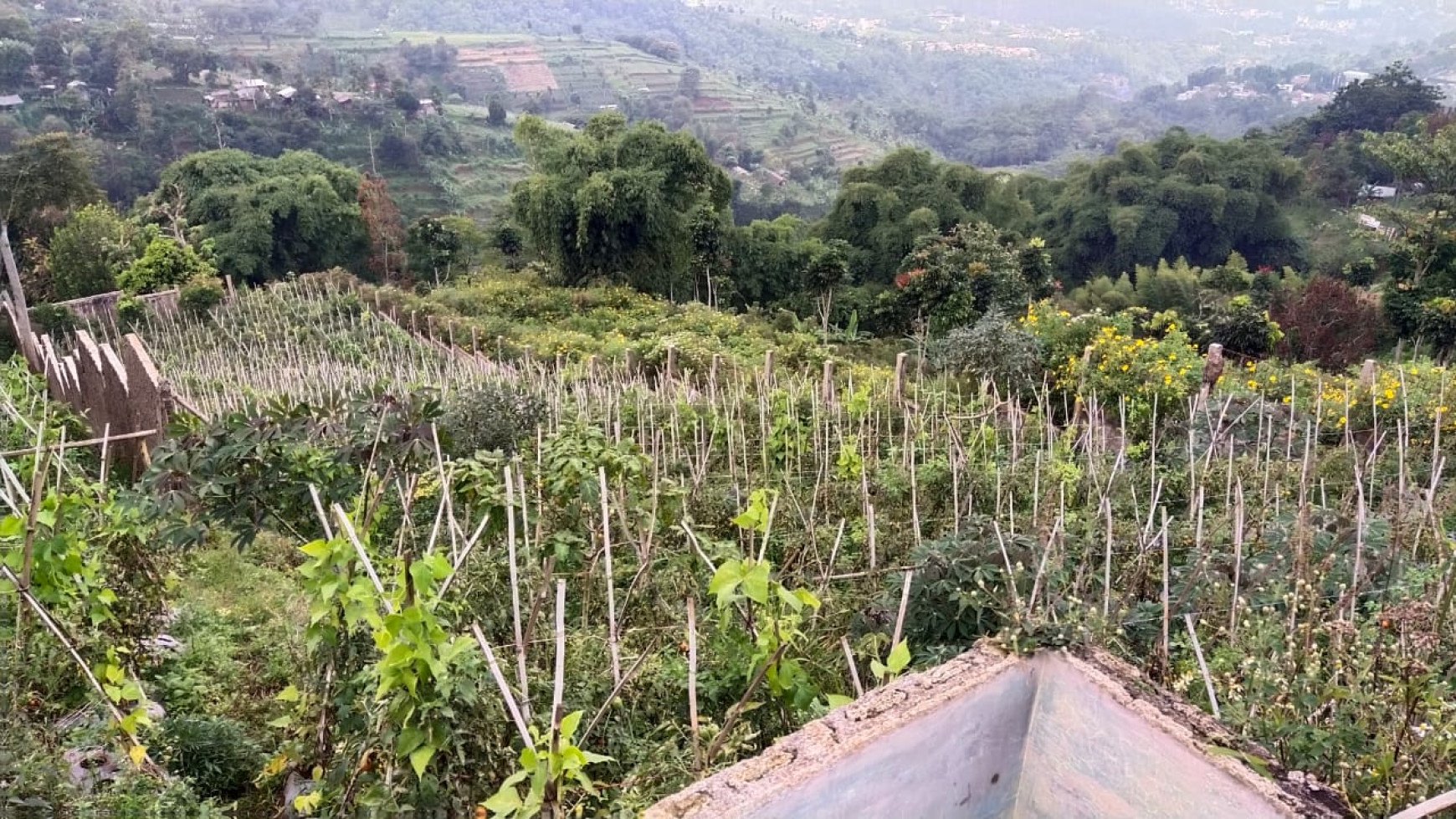 Kavling di dago punclut