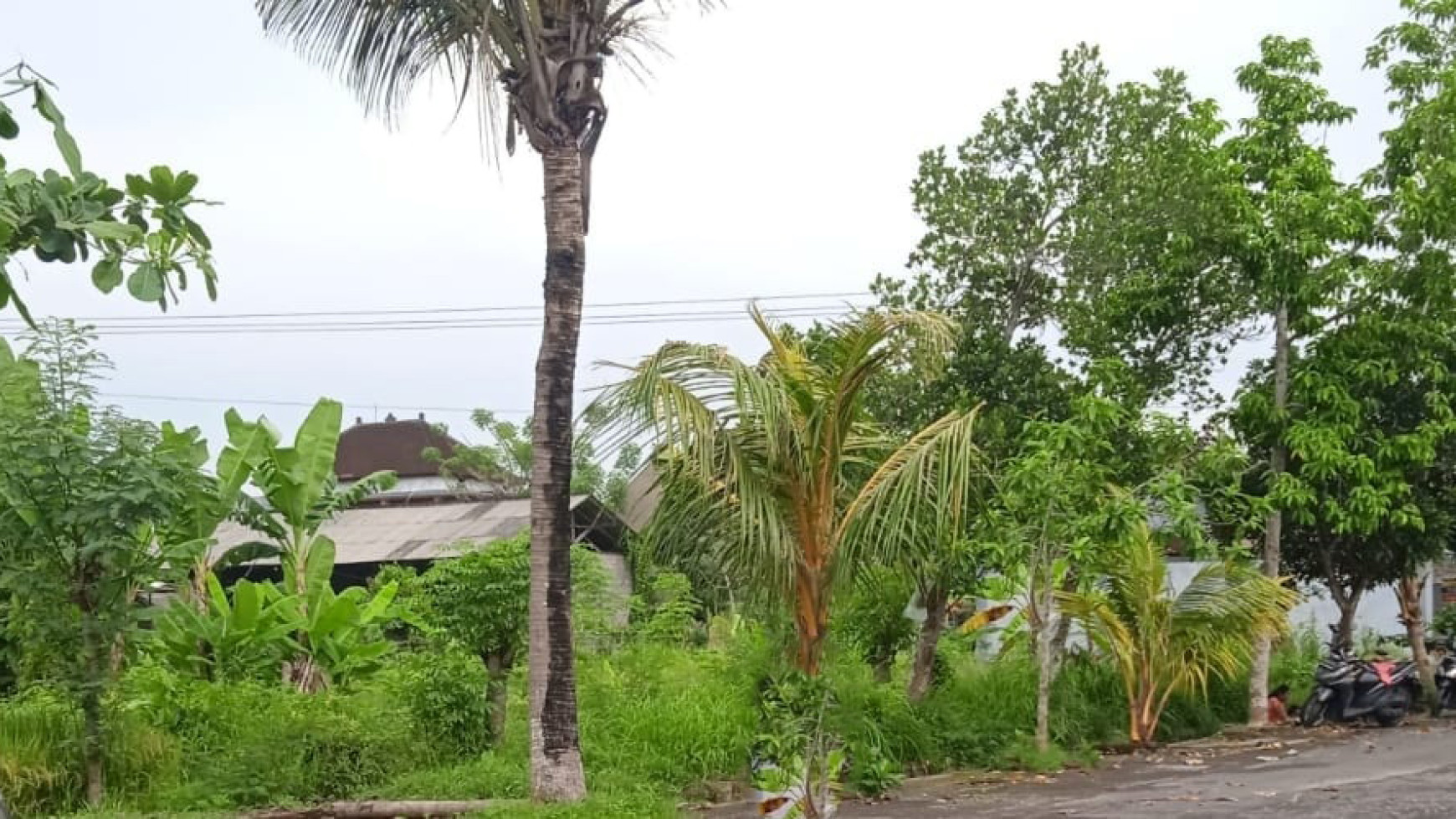 Kavling Siap Bangun, Lokasi Pinggir Jalan Raya @Jl Banjar Siyut, Gianyar, Bali