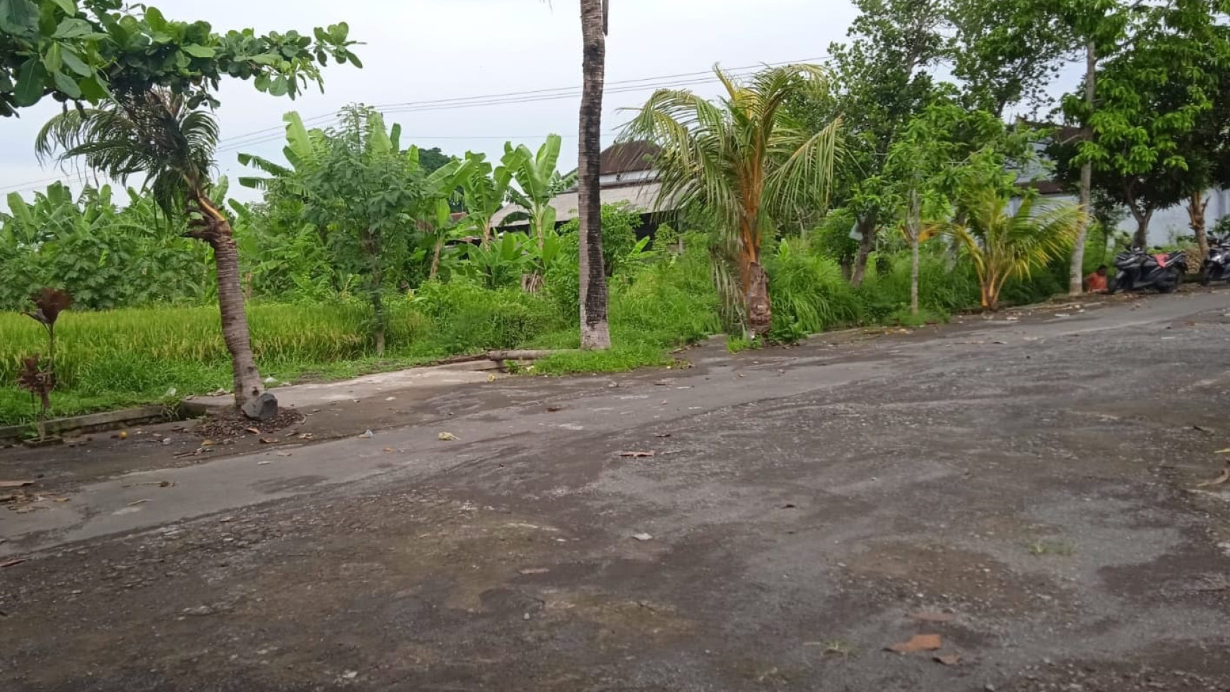 Kavling Siap Bangun, Lokasi Pinggir Jalan Raya @Jl Banjar Siyut, Gianyar, Bali