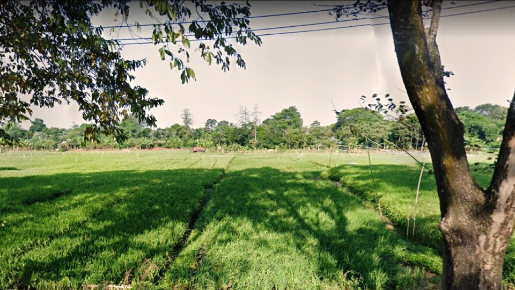 Dijual Tanah 18.000 m&#xb2; Di Subang