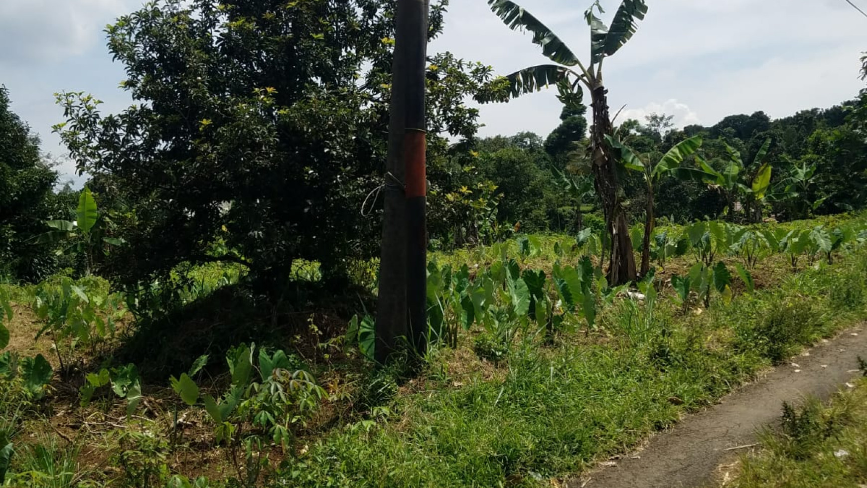 Kavling siap bangung cocok untuk Cluster