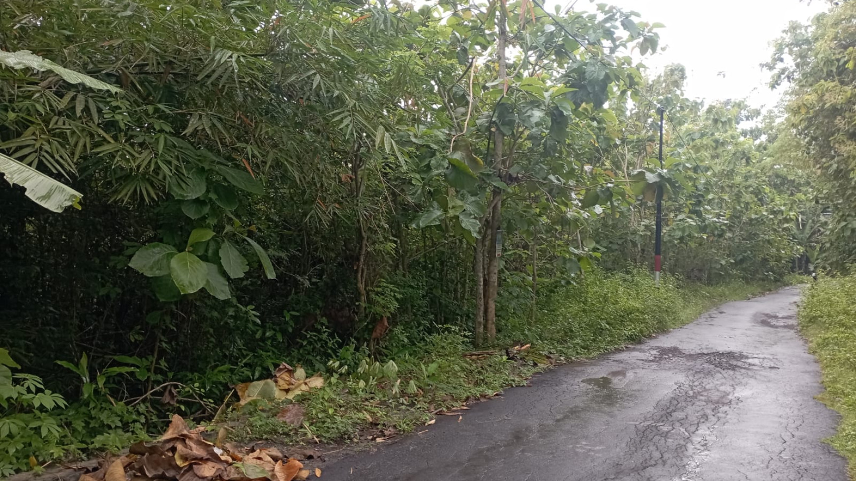 Tanah 5112 Meter persegi Di Balecatur, Gamping, Sleman