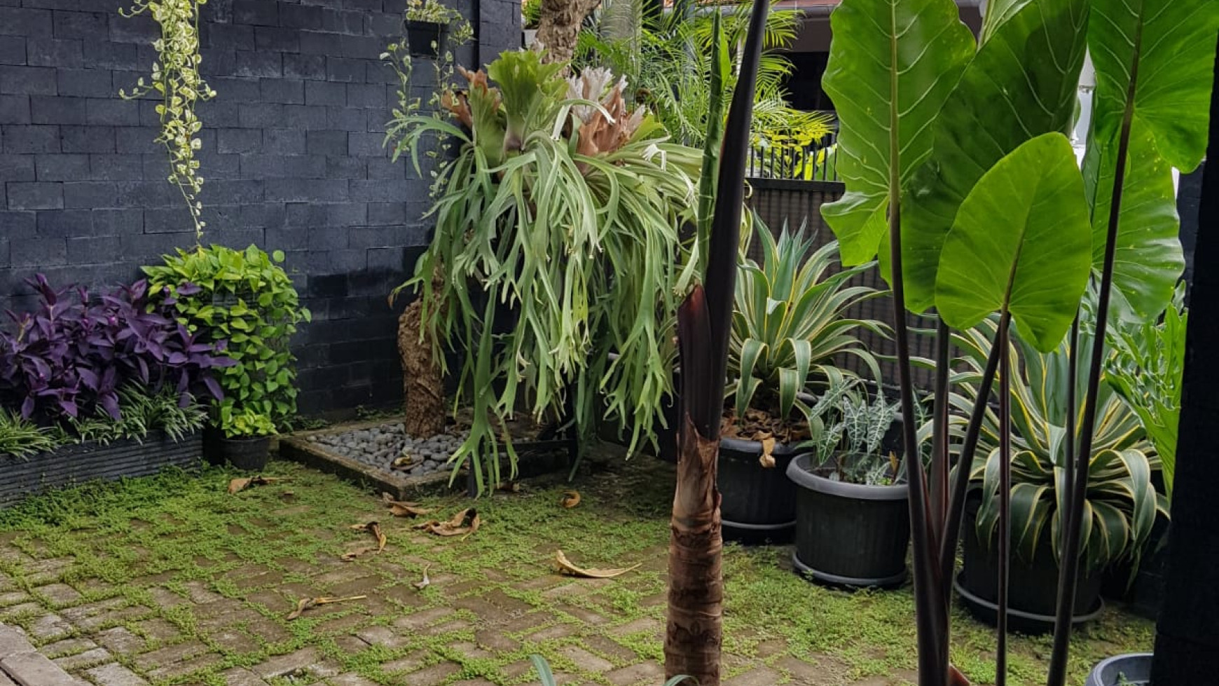 Rumah Bagus Siap Huni dan Cantik @Komp. Deplu, Pondok Aren