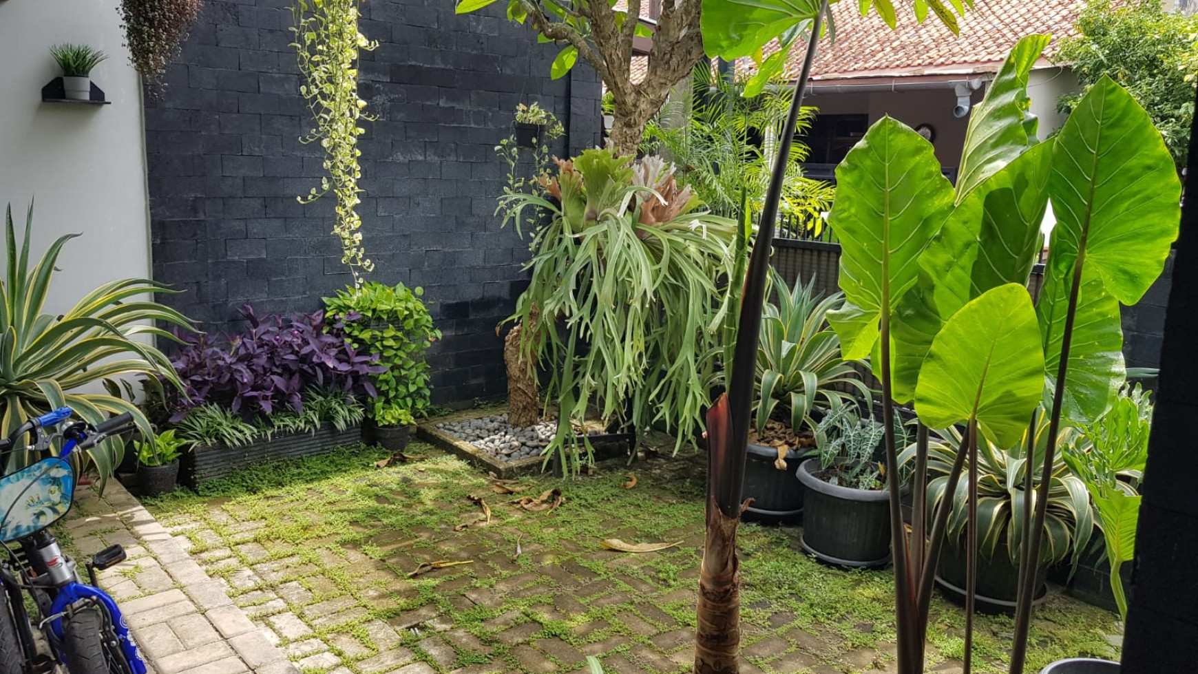 Rumah Bagus Siap Huni dan Cantik @Komp. Deplu, Pondok Aren