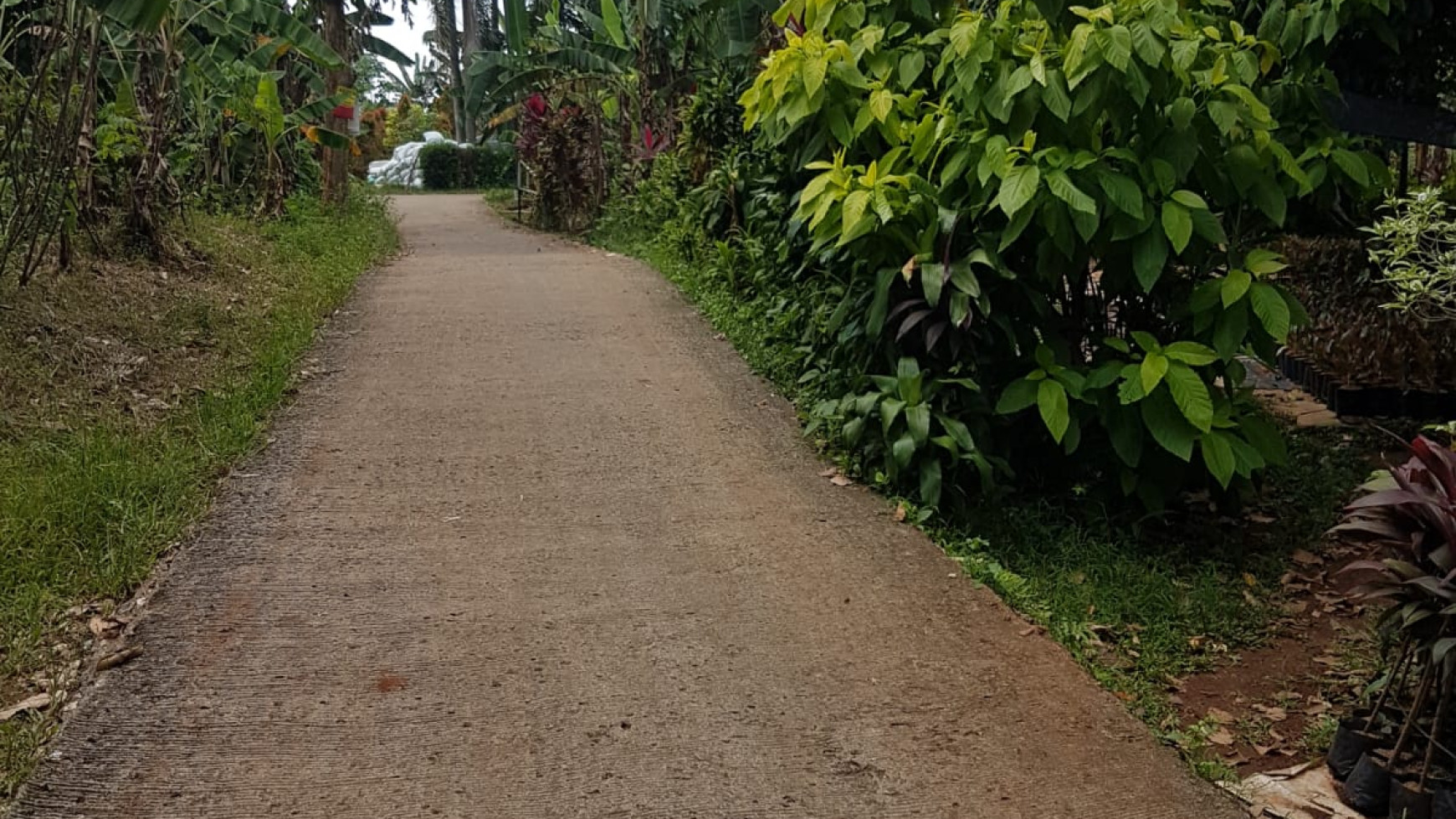 Kavling Siap Bangun Pinggir Jalan @Desa Curug, Gunung Sindur