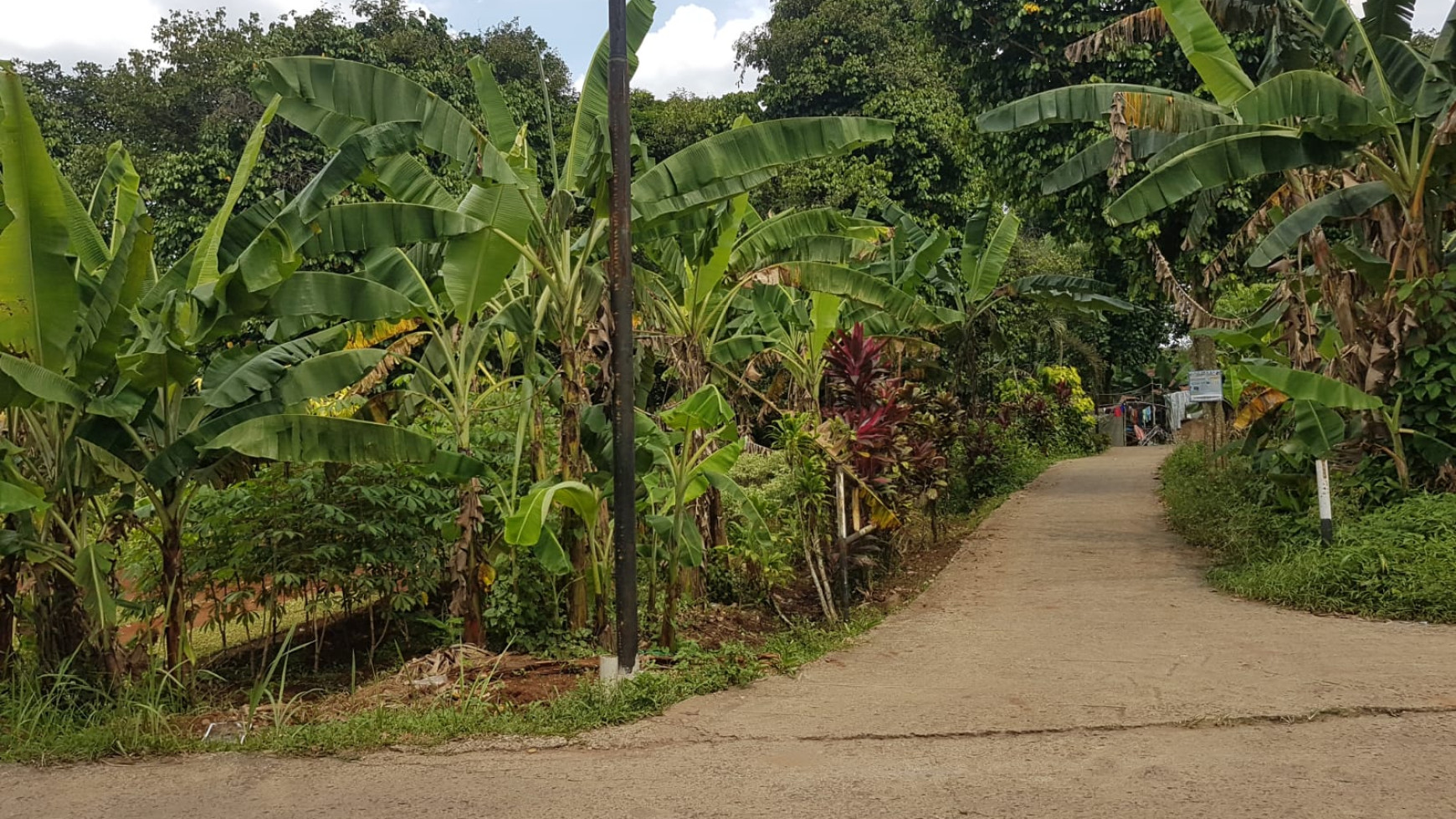 Kavling Siap Bangun Pinggir Jalan @Desa Curug, Gunung Sindur