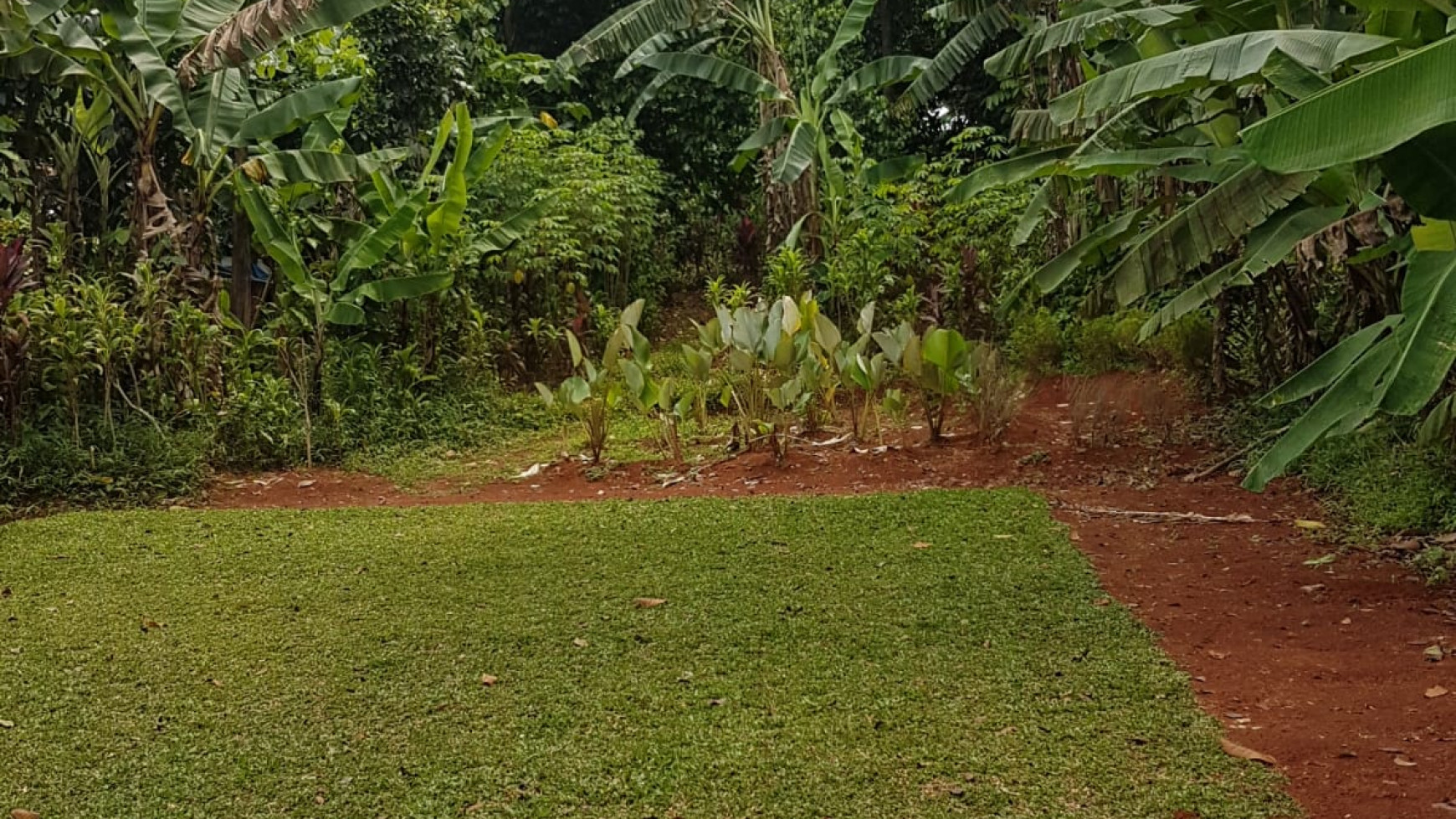 Kavling Siap Bangun Pinggir Jalan @Desa Curug, Gunung Sindur