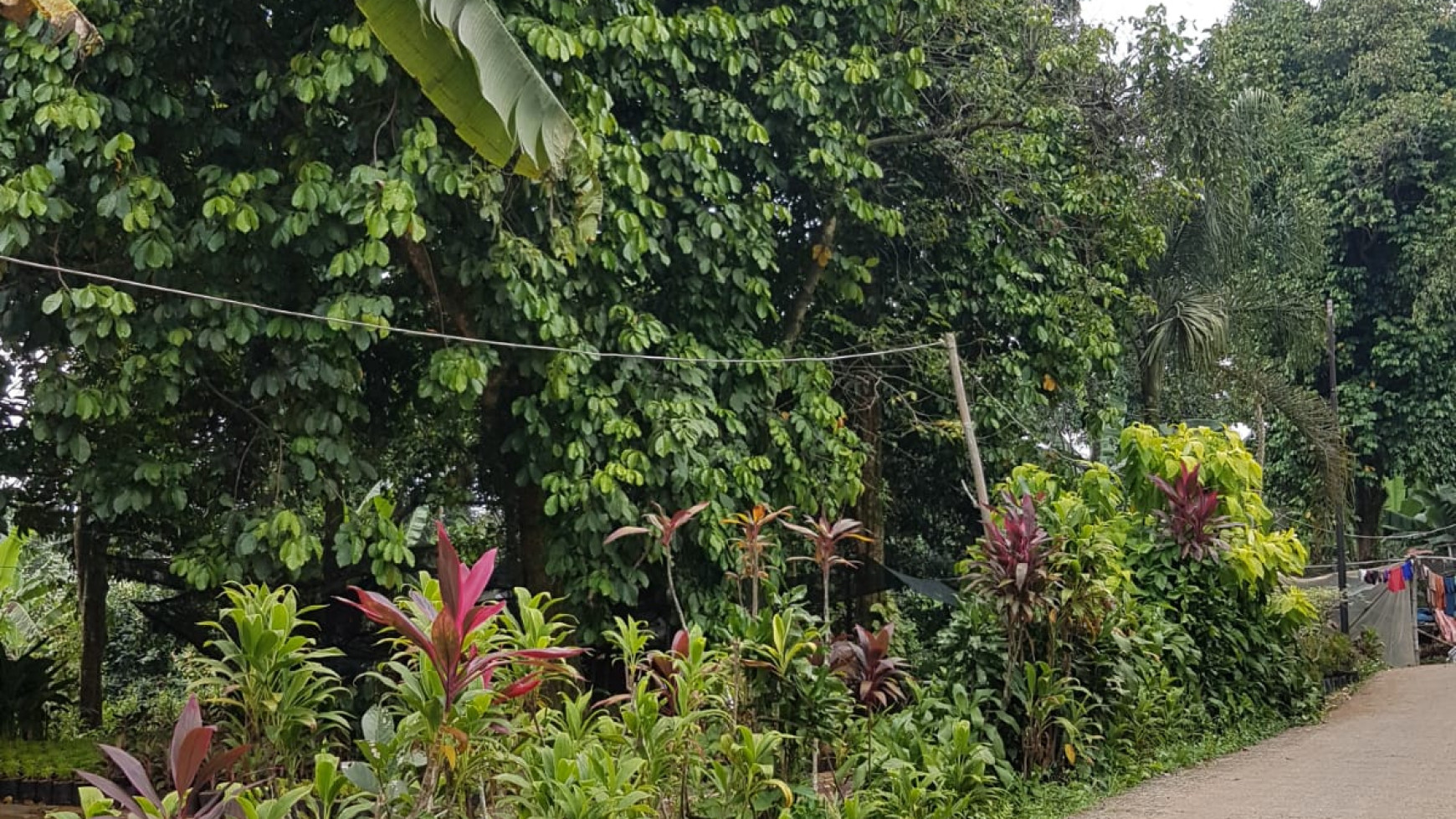 Kavling Siap Bangun Pinggir Jalan @Desa Curug, Gunung Sindur