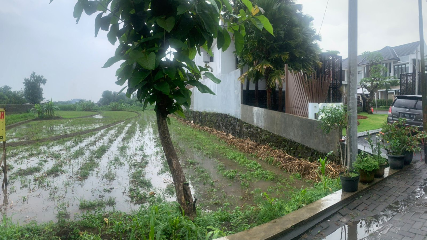 TANAH LUAS SAWAH LOKASI STRATEGIS 