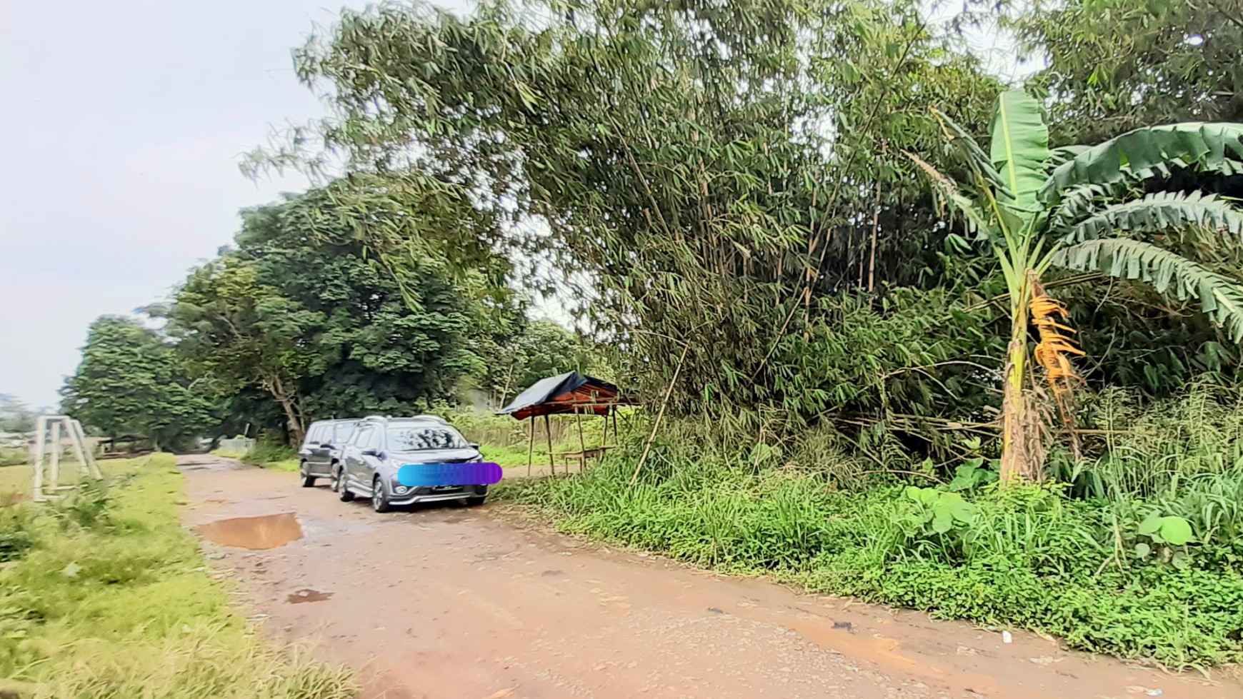 Kavling MURAH  di Cikoleang, Bogor Luas Tanah 5000m hanya 1 Juta/m Nego