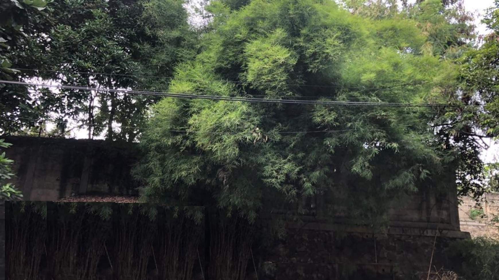 Kavling siap bangun Lokasi strategis di Bintaro