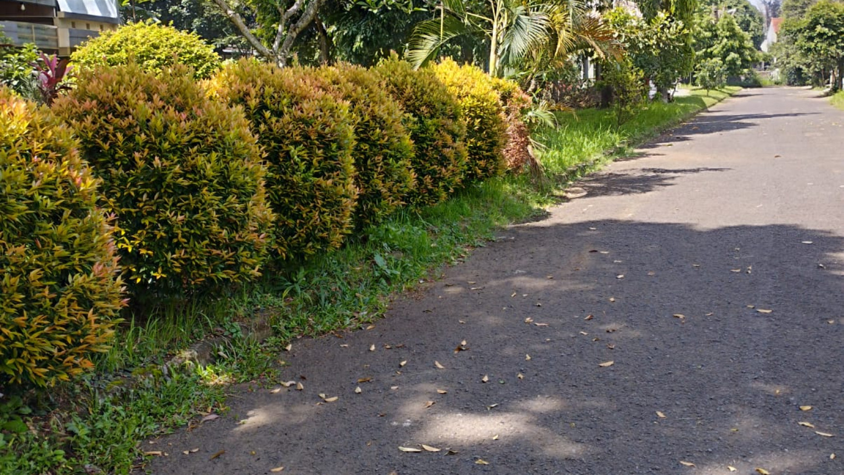 Rumah Siap Huni, Hunian Asri dan Nyaman @Perumahan Bumi Menteng Asri, Bogor