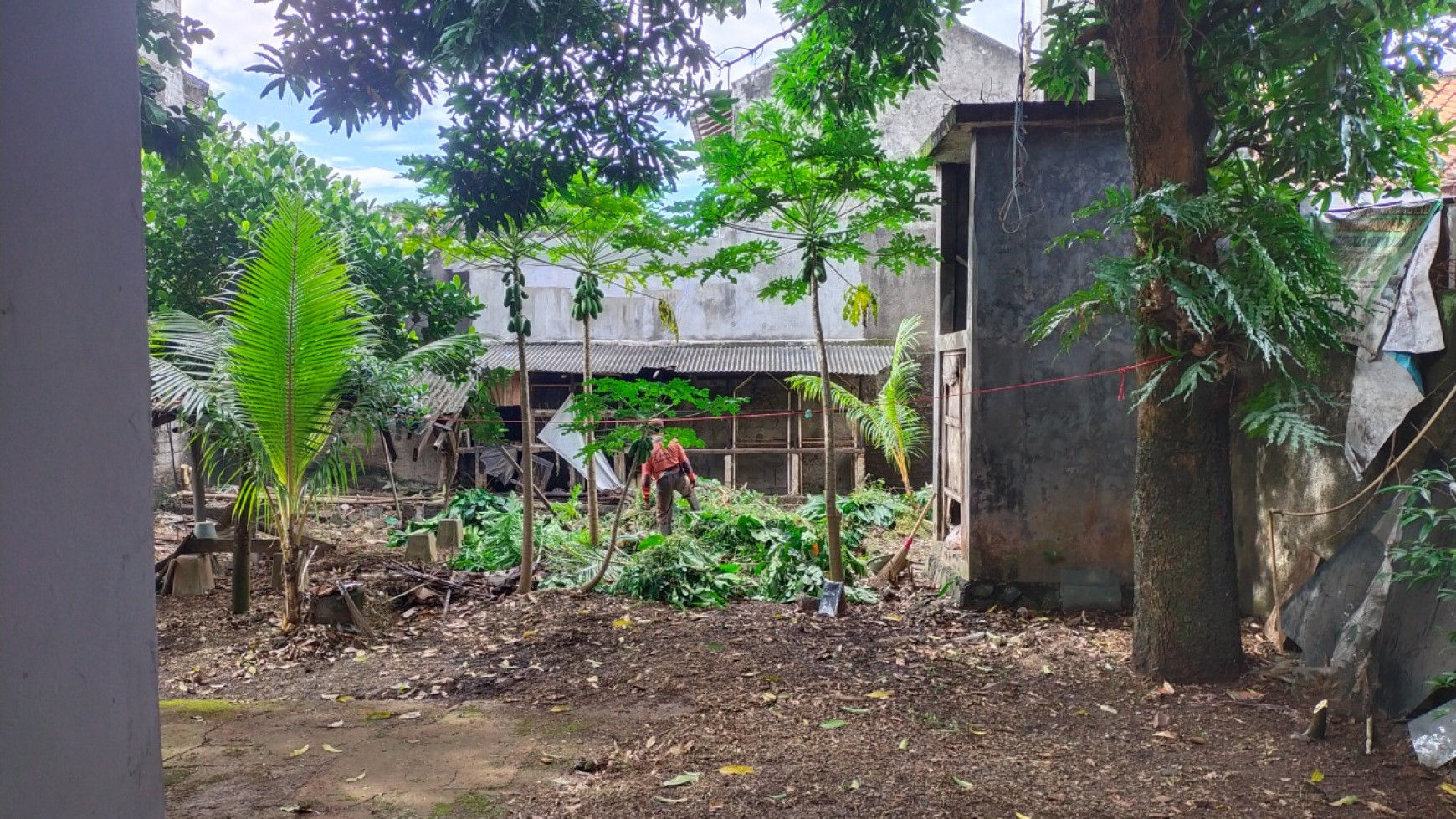 Rumah Siap Huni dan Lokasi Strategis @Jl Kubis, Pondok Cabe Ilir