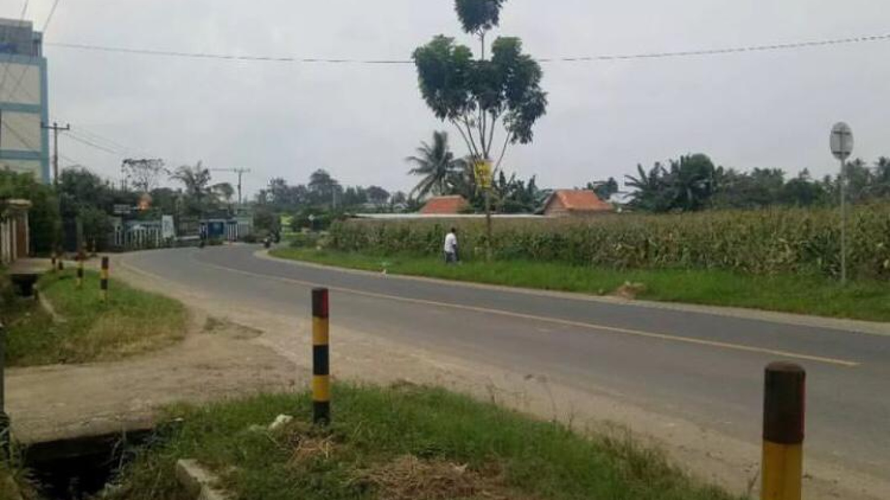 Tanah Murah di jalan lintas Sumatera Raden Gunawan Hajimena Natar