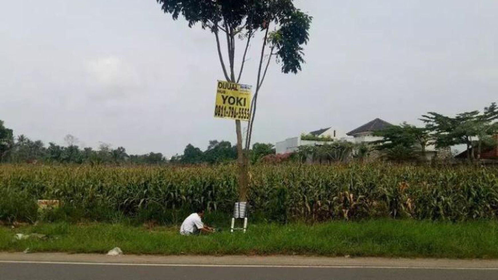 Tanah Murah di jalan lintas Sumatera Raden Gunawan Hajimena Natar