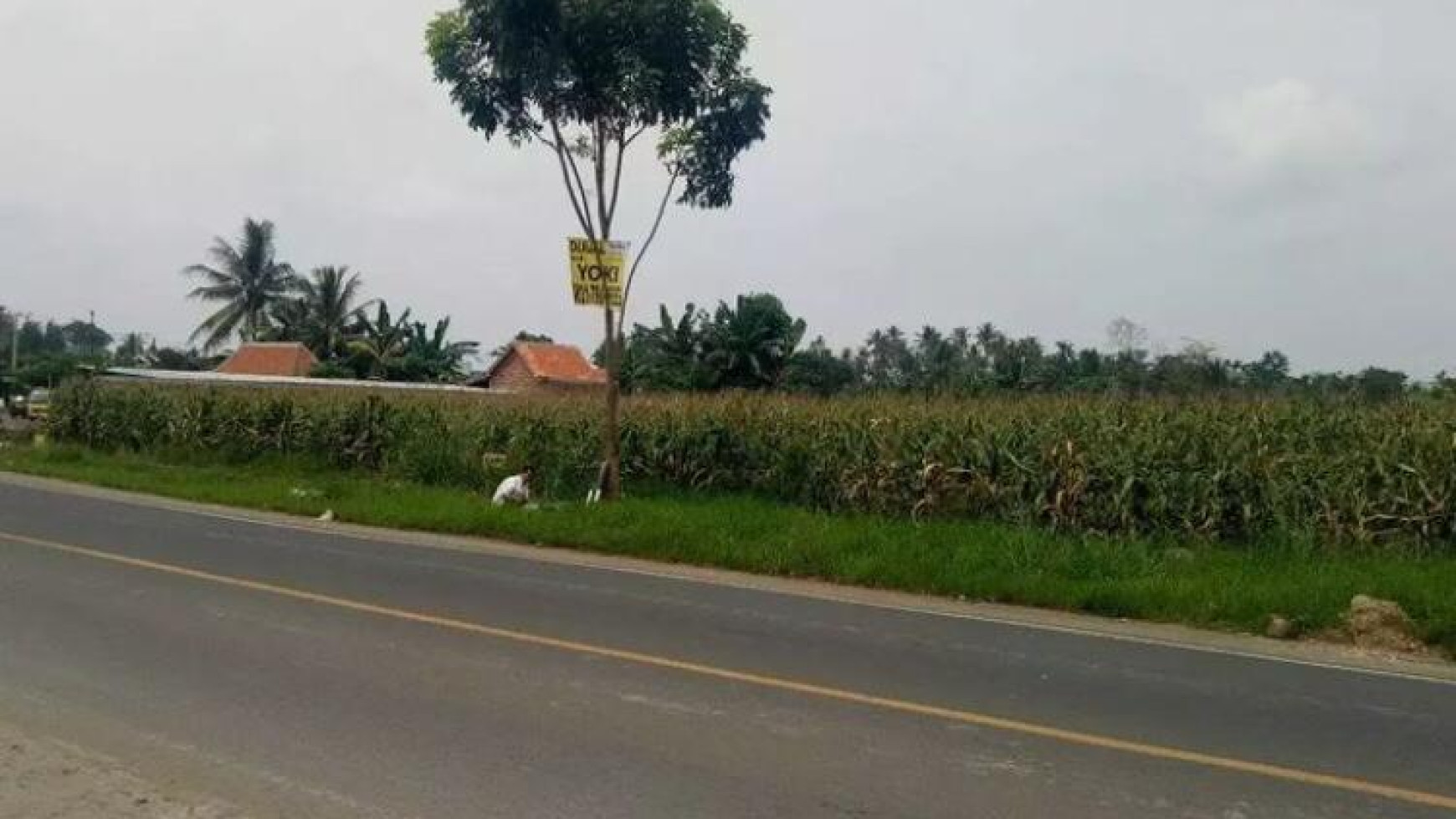 Tanah Murah di jalan lintas Sumatera Raden Gunawan Hajimena Natar