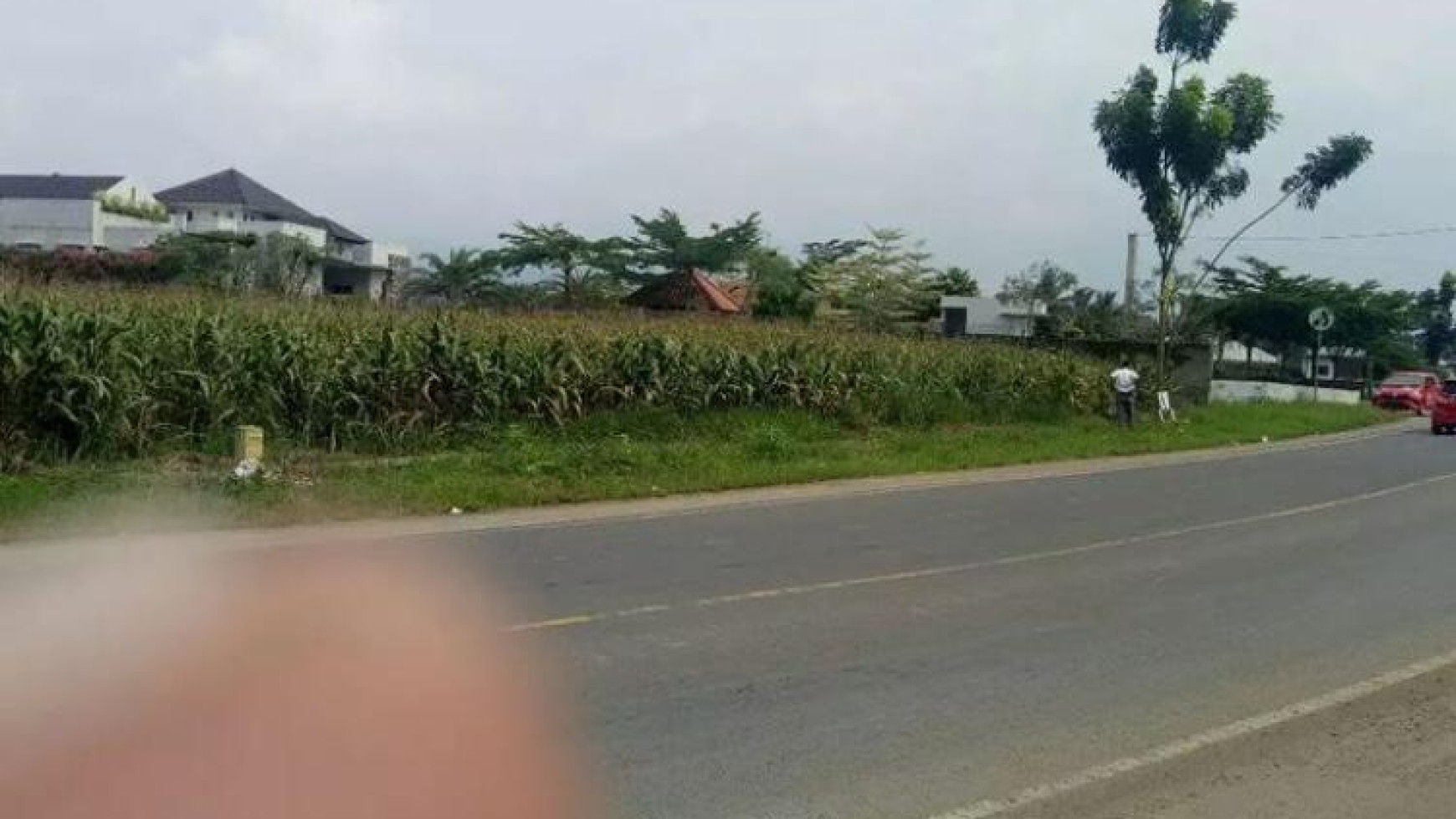 Tanah Murah di jalan lintas Sumatera Raden Gunawan Hajimena Natar