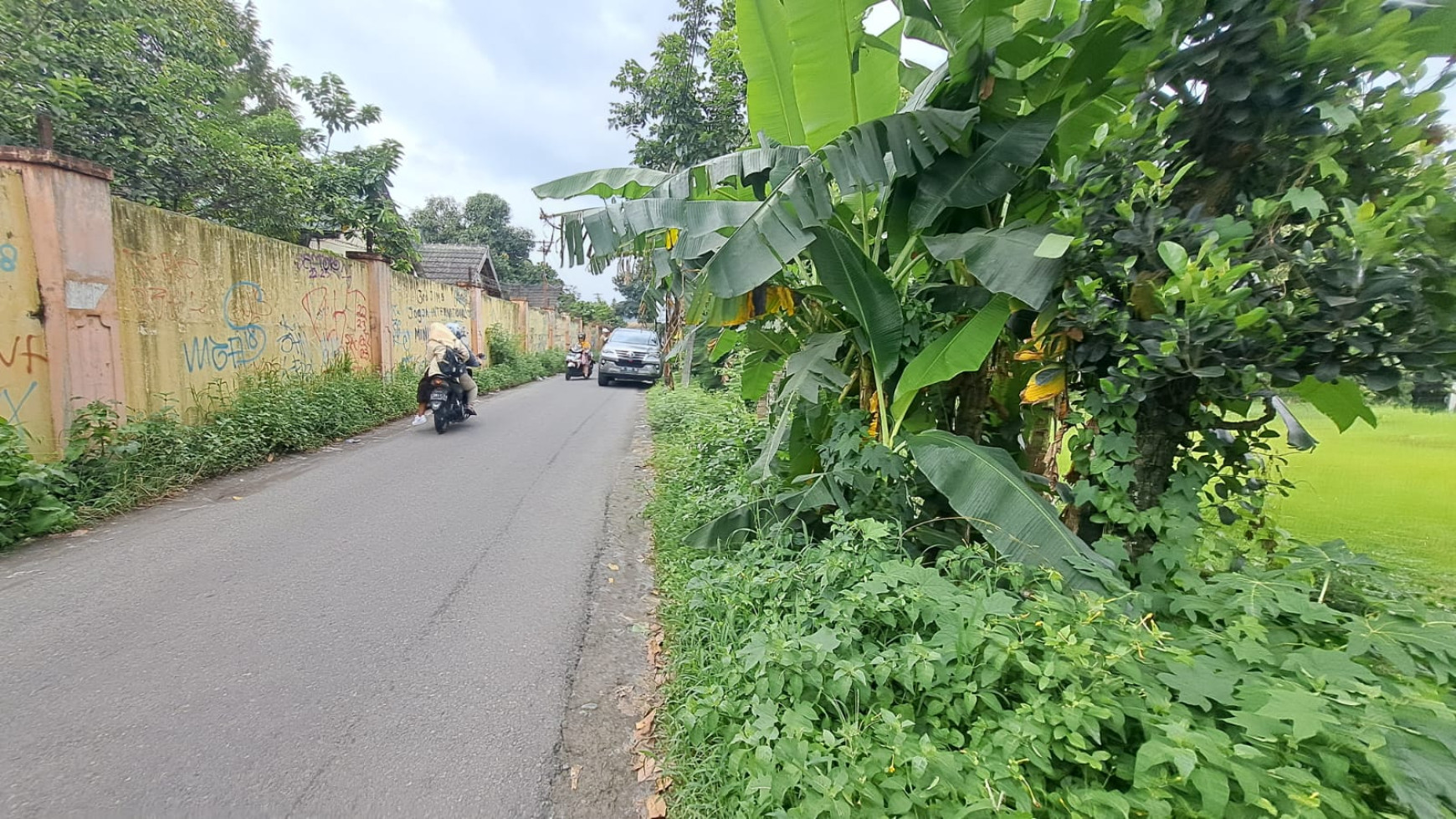 Tanah Pekarangan 1700 Meter Persegi Cocok Untuk Perumahan Ngestiharjo Kasihan Bantul