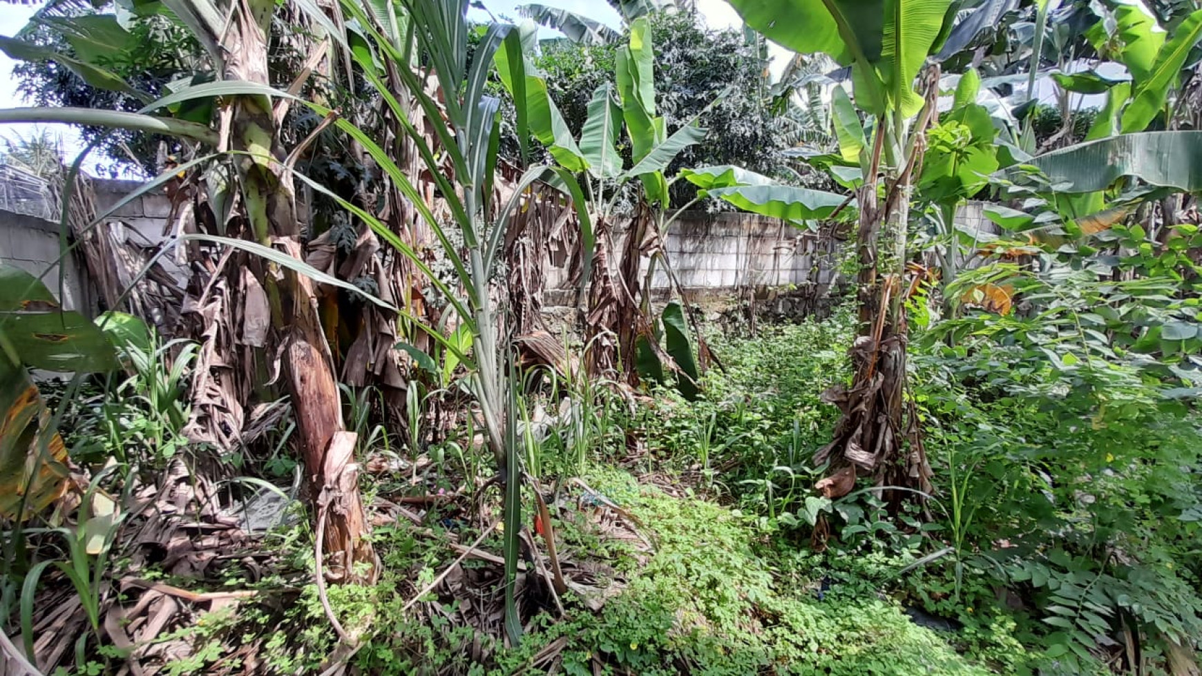 Tanah Kosong Dalam Kavling, Cocok Untuk Hunian,  Pondok Cina, Depok, Jawa Barat 