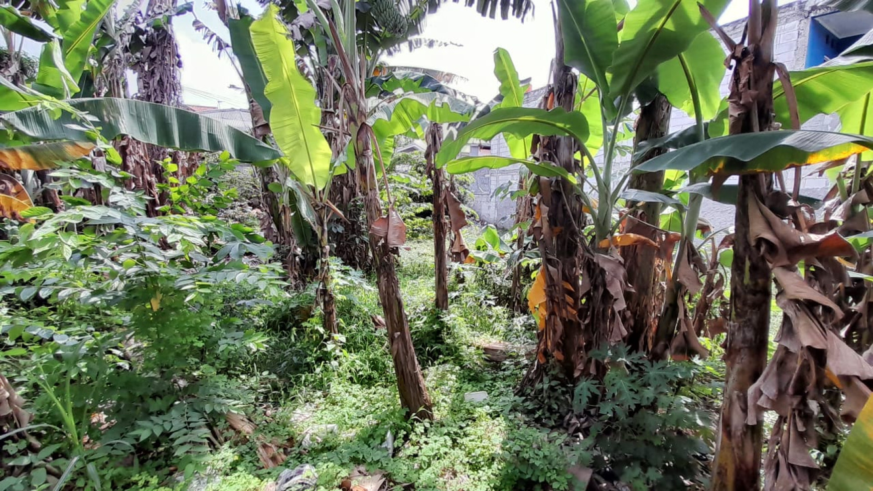 Tanah Kosong Dalam Kavling, Cocok Untuk Hunian,  Pondok Cina, Depok, Jawa Barat 