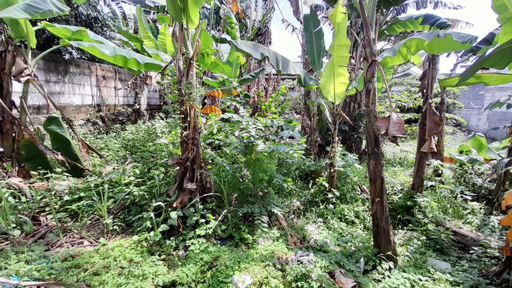 Tanah Kosong Dalam Kavling, Cocok Untuk Hunian,  Pondok Cina, Depok, Jawa Barat 