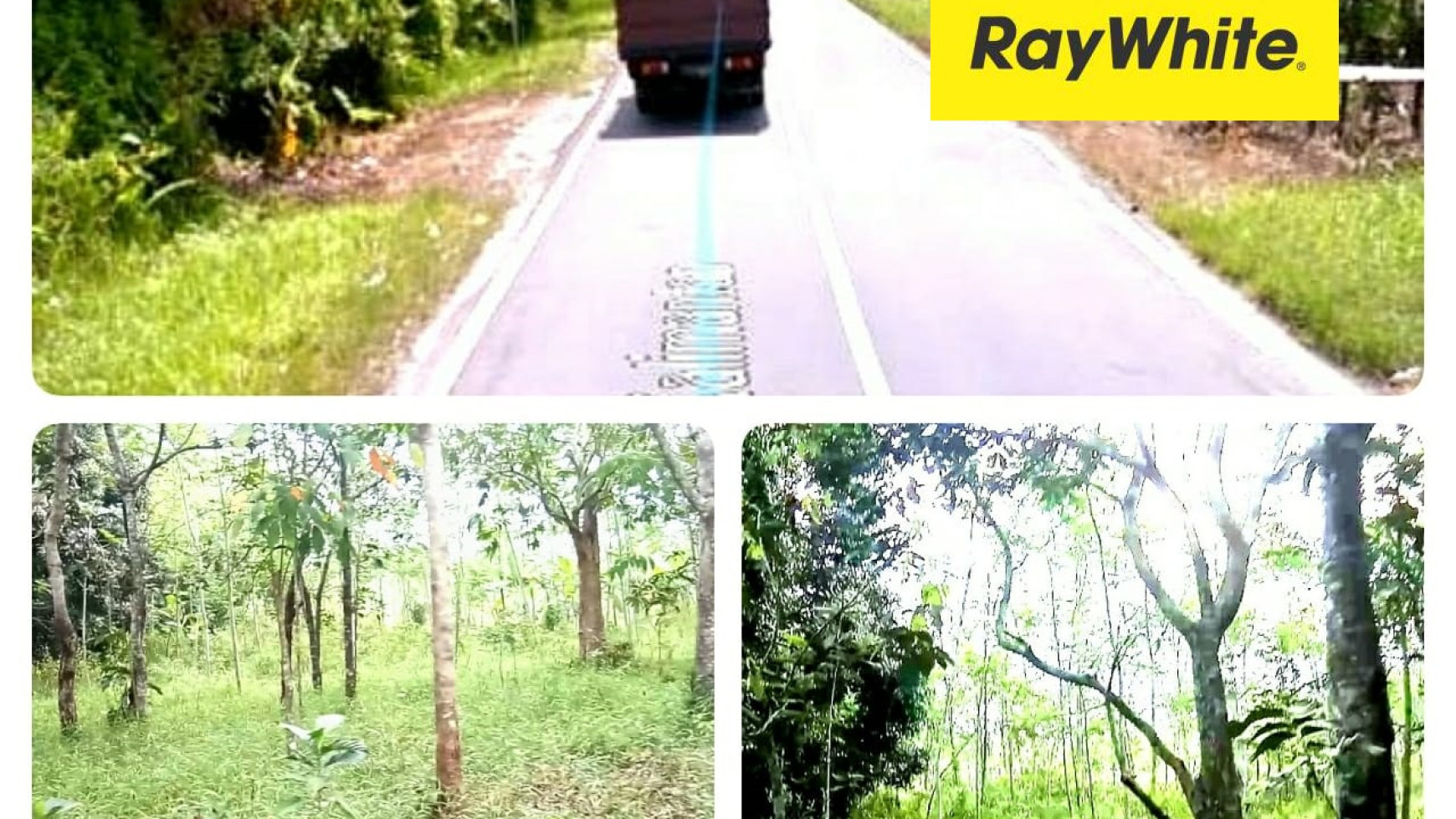 Kavling Area di Kalimantan Tengah luas 2,8 Ha harga 1,85M nego sampai DEAL