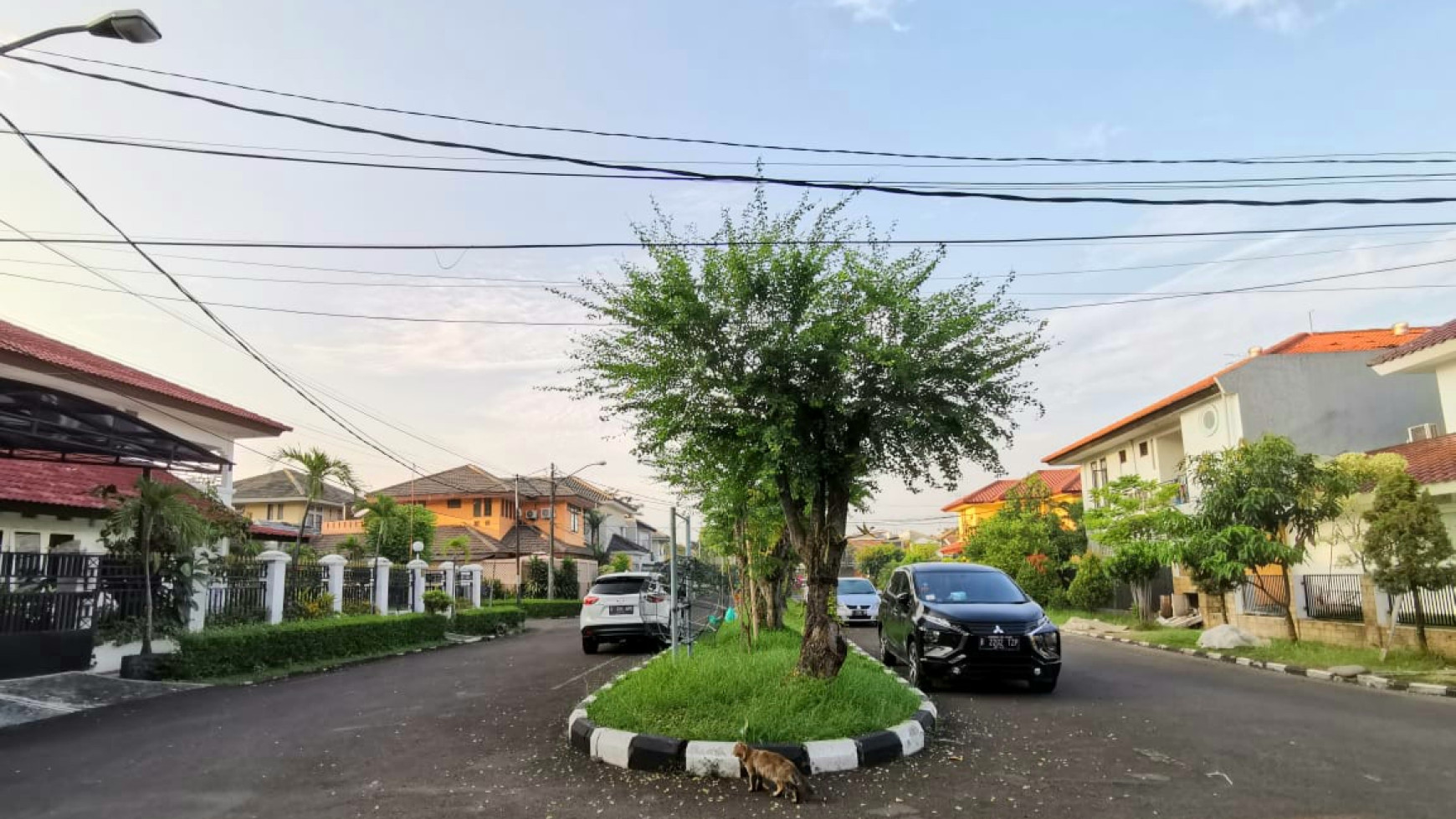 Rumah Modern Tropical luas 230m harga  5,9M di Kawasan Sektor 9 Bintaro Jaya