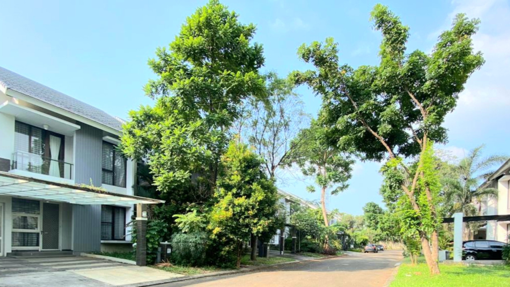 Rumah Mewah di Cluster Palmyra Alam Sutera Luas Tanah 367m Harga 6.9M nego sampai DEAL