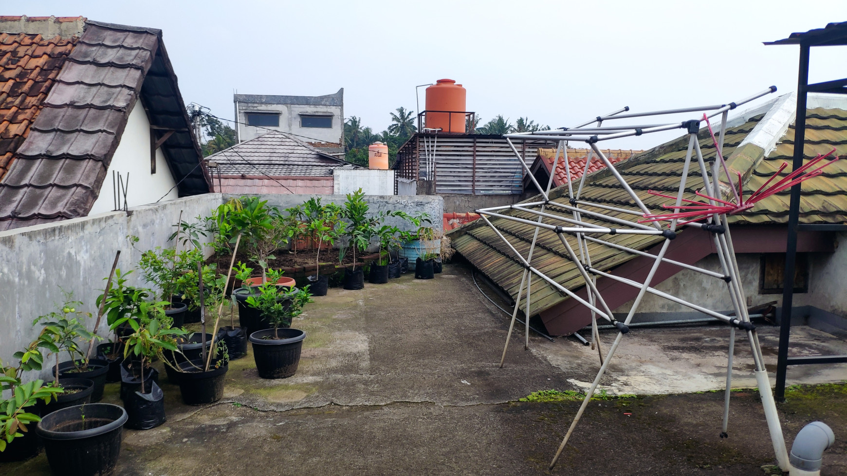 Langka, Rumah sayap jl gunung batu bandung