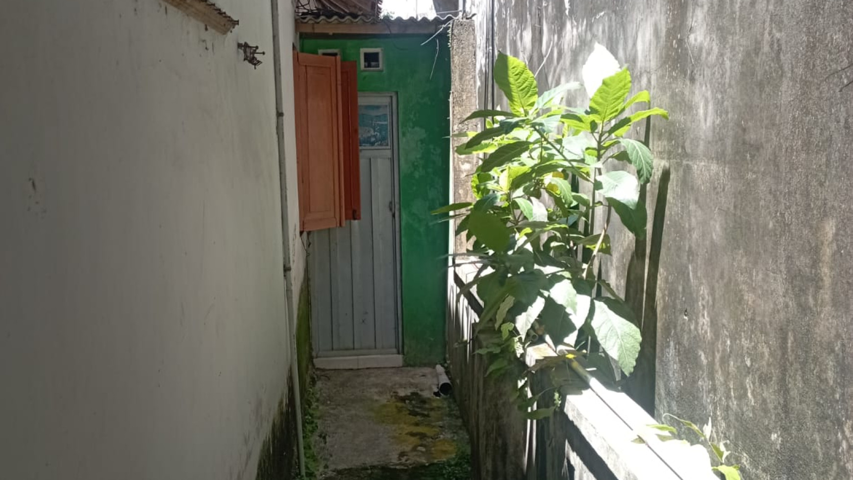 Rumah Lama 3 Kamar Di Manding Imogiri Bantul