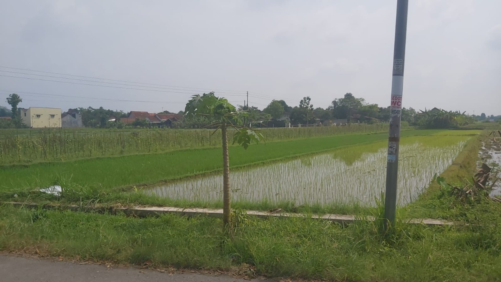 Tanah 1850 Dekat Candi Prambanan, Manisrenggo, Klaten