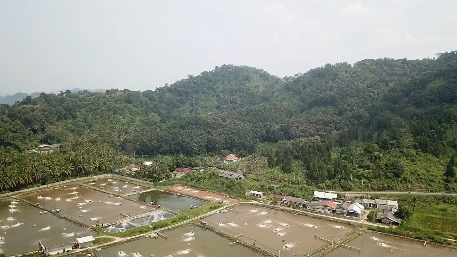 Dijual Tambak dekat pantai -  Padang Cermin