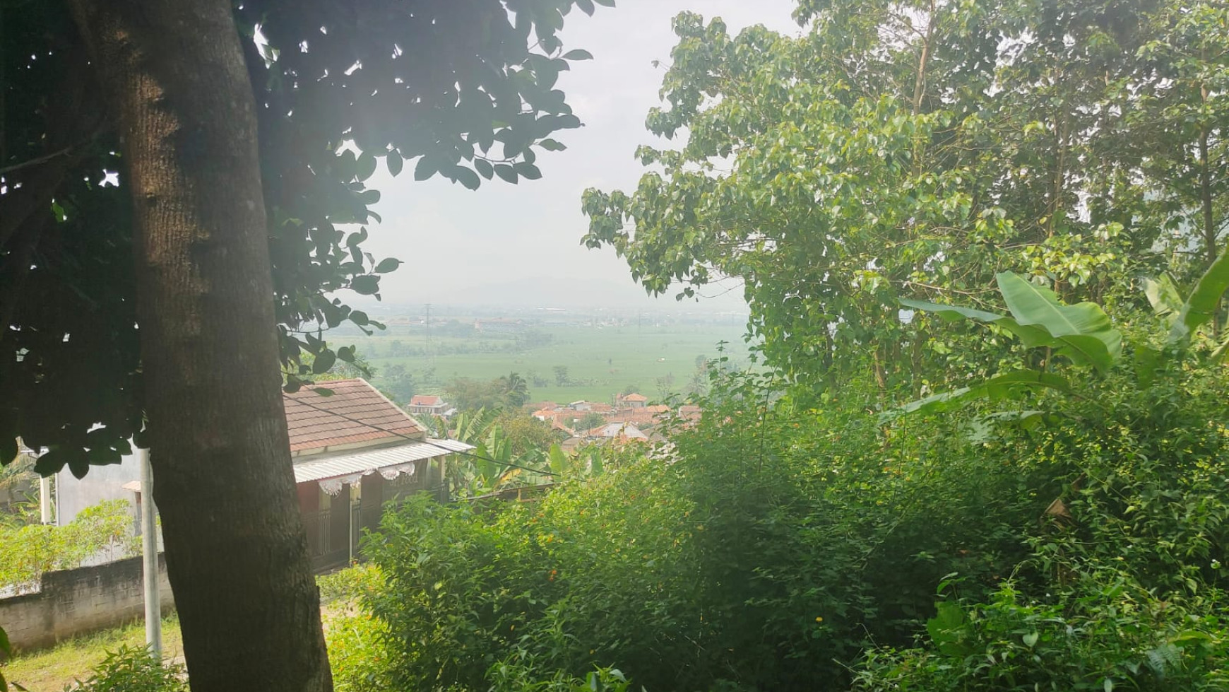 Tanah Cuaca Adem di Jatisari Kutawaringin Soreang