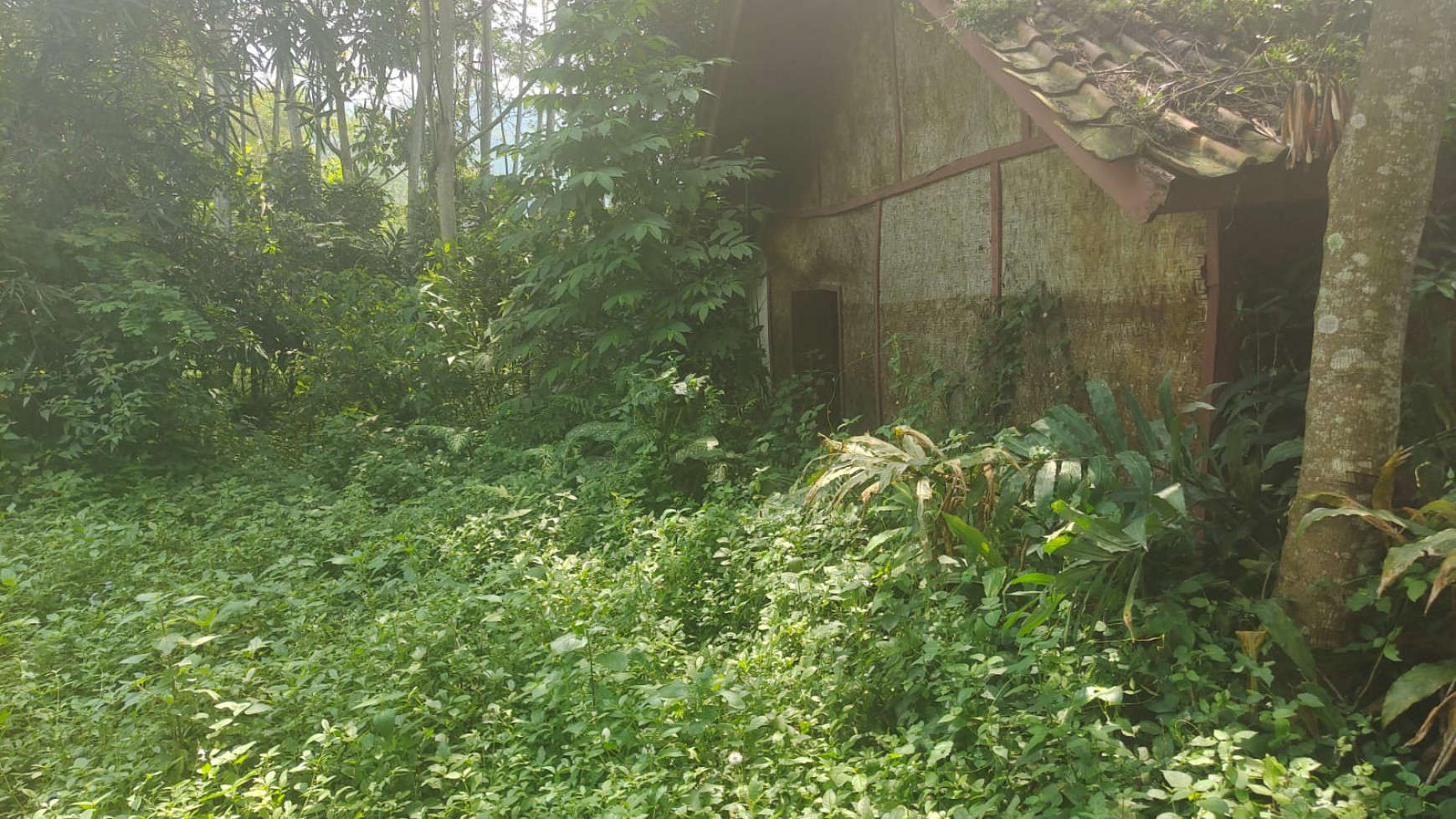 Tanah Cuaca Adem di Jatisari Kutawaringin Soreang