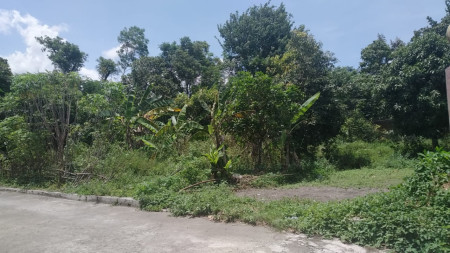TANAHA PEKARANGAN SELUAS 820 METER PERSEGI, DI JL RAYA SELOMARTANI