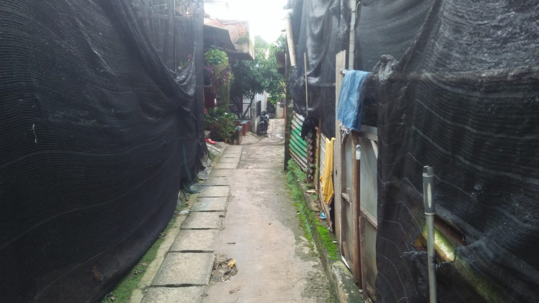 Rumah Bagus Di Jl Mandor Basar Pancoran mas Depok