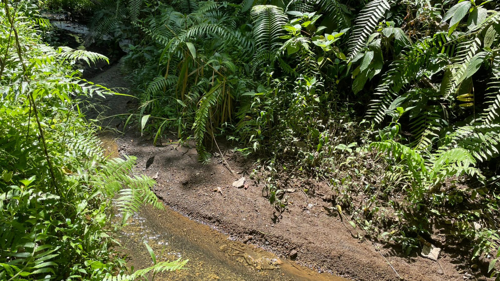 Leasehold land 8857 Sqm In Great Location Ubud 