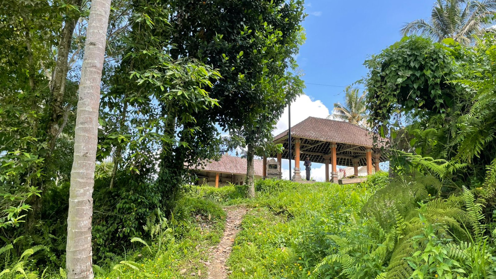 Leasehold land 8857 Sqm In Great Location Ubud 