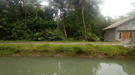 TANAH LUAS 1311 METER BERLOKASI DI KULON PROGO