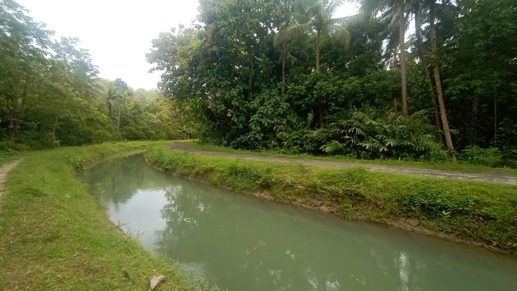 TANAH LUAS 1311 METER BERLOKASI DI KULON PROGO