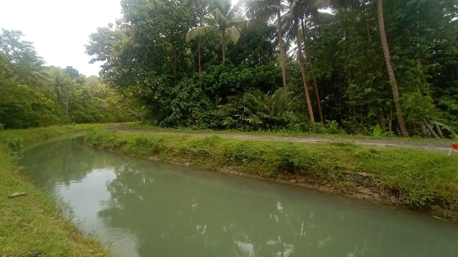 TANAH LUAS 1311 METER BERLOKASI DI KULON PROGO