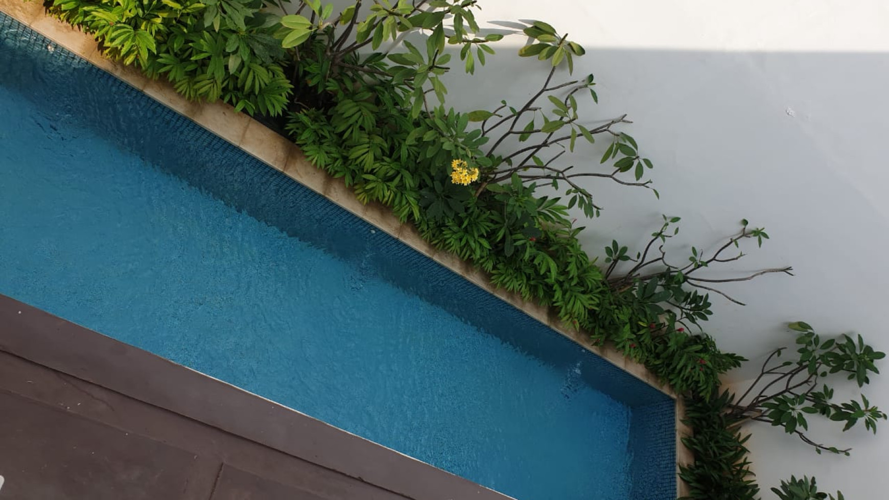 Rumah Bagus, Mewah, dengan Swimming Pool, Siap Huni di Jakarta Selatan