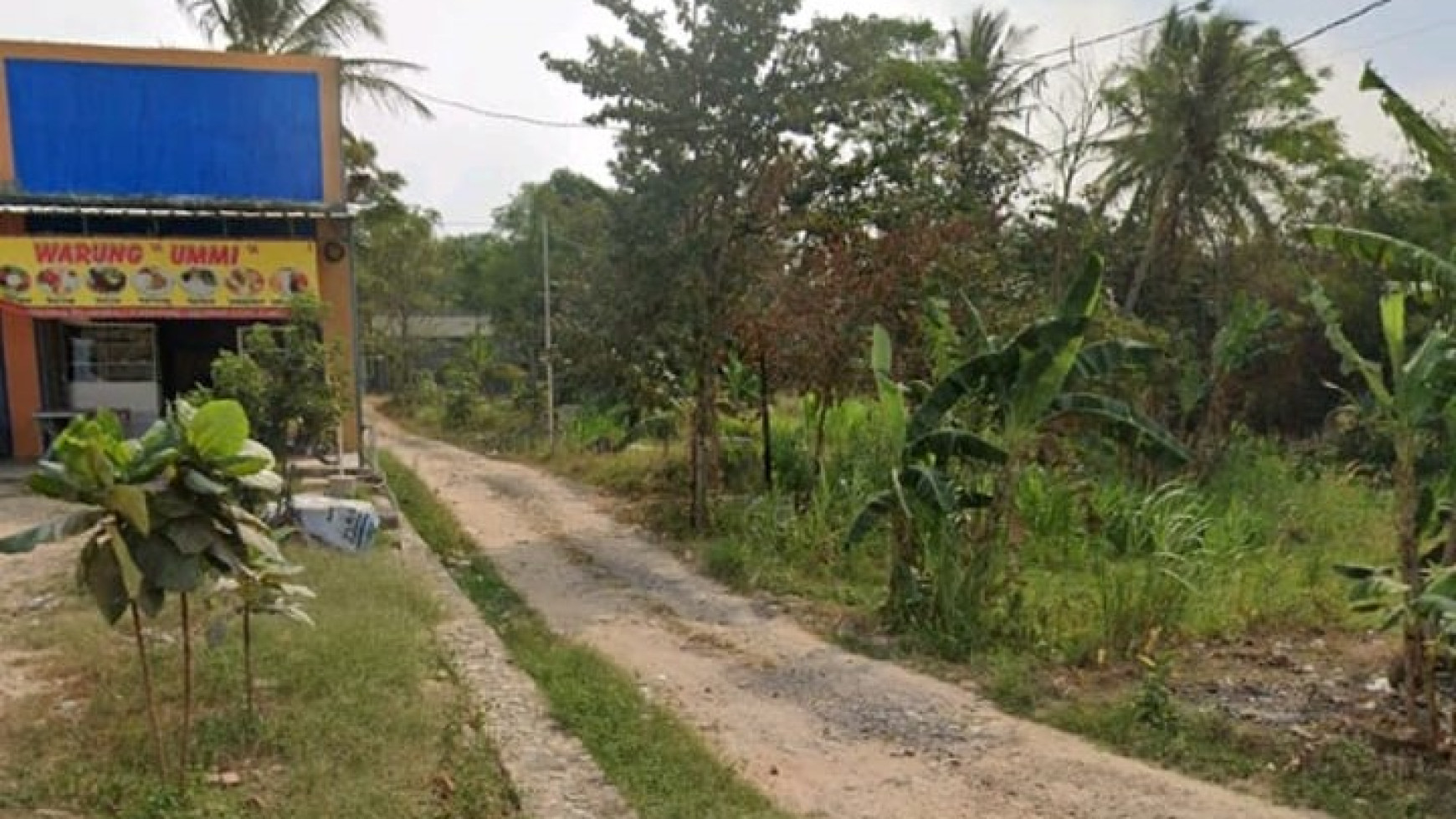 TANAH MURAH DI DEPAN KAMPUS ITERA SANGAT COCOK UNTUK KOS KOSAN