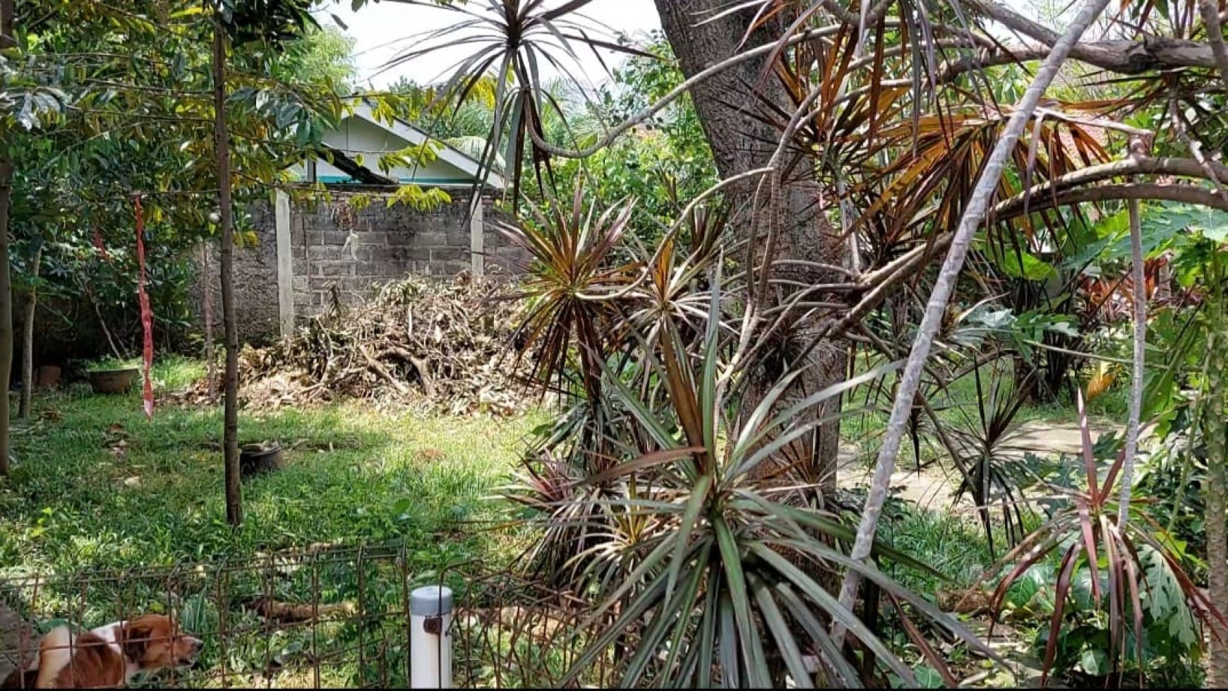 Rumah Strategis dekat Bintaro Jaya dan Halaman Luas @Pondok Pucung Indah 2