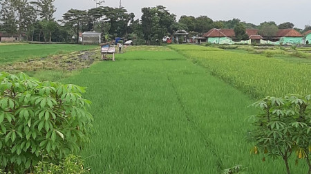 TANAH LUAS DI DUSUN SUMYANG KLATEN